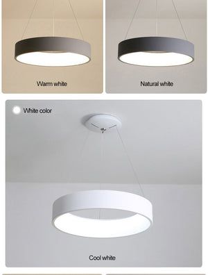 Modern LED Pendant Lights Suspension Luminaire